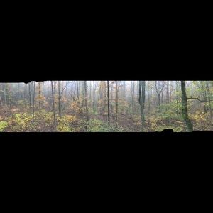 Meet your Posher, Donald